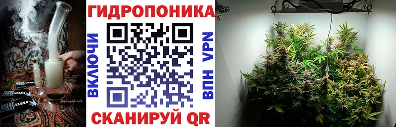 Сколько стоит Киржач ГАШИШ  Каннабис  COCAIN  Мефедрон 